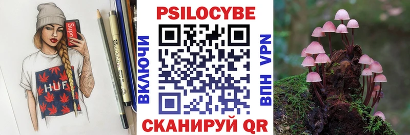 Купить  Буйнакск  Галлюциногенные грибы Cubensis 